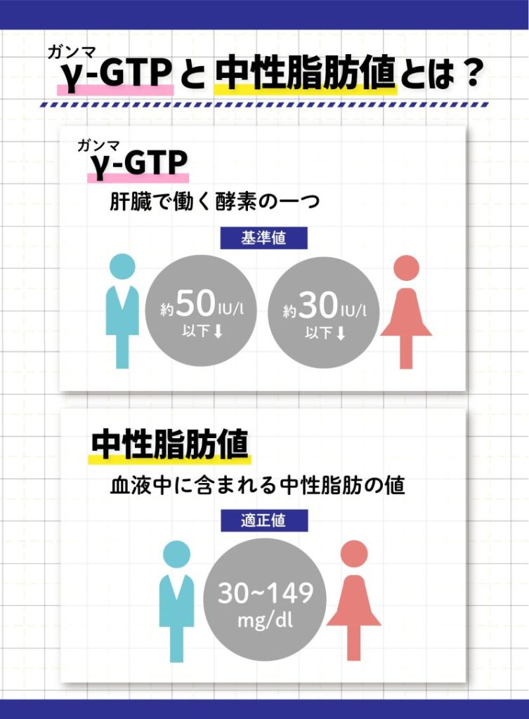 γ-GTP(ガンマGTP)と中性脂肪値とは